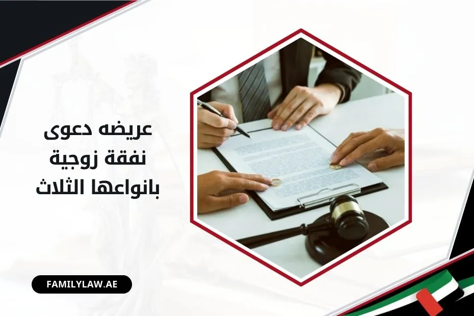 عريضه دعوى نفقة زوجية بانواعها الثلاث بالإمارات