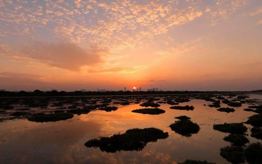 محمية الزوراء الطبيعية